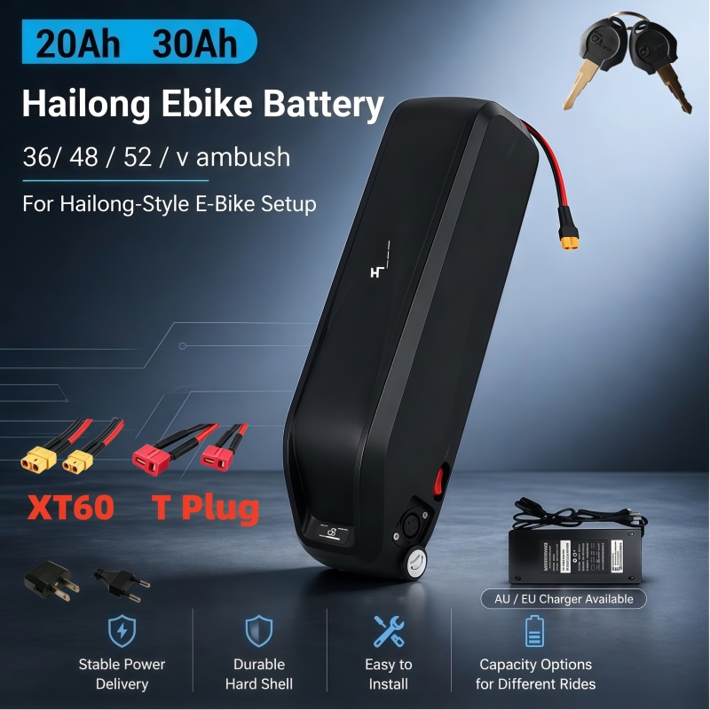 多用途ハイルンバッテリー、マルチ電圧36V 48V 52V  - Ebike Battery 48V 20Ah Hailong のレビューと価格