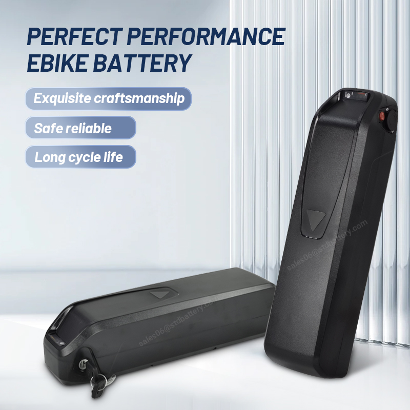 電動自転車用リチウムイオン電池,36V, 48V, 500W - Ebike Battery 48V 20Ah Hailong のレビューと価格