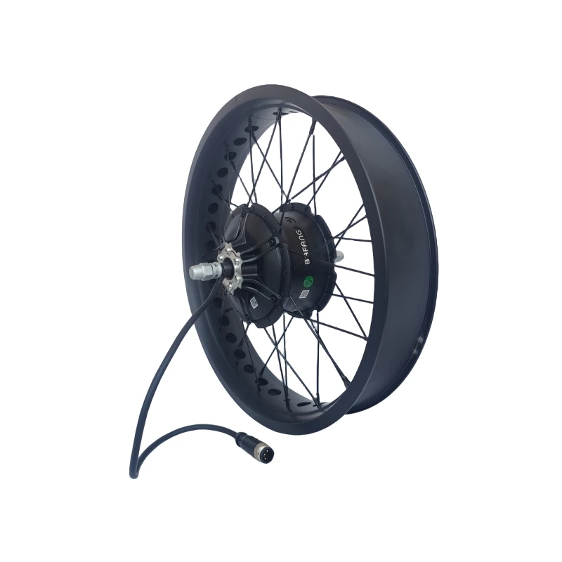 Bafang 48V 1000W 20/4.0/26*4.0 - Bafang Bbshd 1000W Conversion Kit のレビューと価格