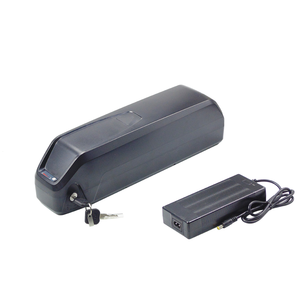 Hailong 48V 13Ah 15Ah 17.5Ah 電 - Ebike Battery 48V 20Ah Hailong のレビューと価格